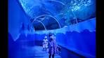 How does Sea life Scheveningen look like? - YouTube