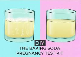 Diy The Baking Soda Pregnancy Test Kit Kingdom Of Baby