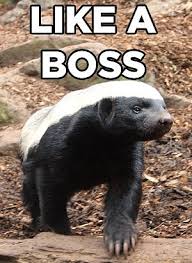 What Is Your Spirit Animal Your Spirit Animal What Animal Are You Spirit Animal Quiz