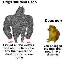 Evolution Of Dogs Meme By Mr Gimli Memedroid