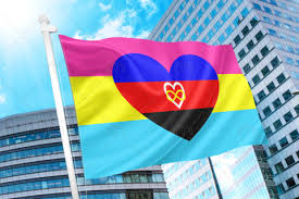 I mean, i guess the french flag has vertical stripes, but i really don't see the resemblance. Polyamory Pansexual Combo Flag Pride Nation