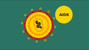 Without hiv medicine, people with aids typically survive about 3 years. What Are Hiv And Aids Avert