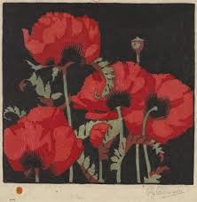 Image result for Poppy Red 1999 AAV