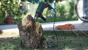 This can kill tree stumps, ivy japanese knotweed, saplings, brambles and nettles. The Cost And Methods Of Removing A Tree Stump