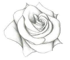 Pencil Drawing Of A Skull Easy Pencil Sketches Easy Pencil Drawings Easy Flower Sketches