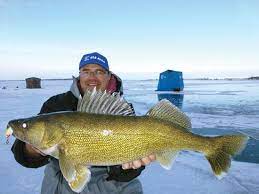 New Ice Fishing For Walleye Presentation Perspectives In Fisherman Walleye Lake Erie Fishing Ice Fishing