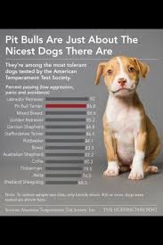 Pit Bulls Pitbulls Pitbull Awareness Month Pitbull Mix Puppies