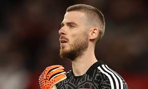 Erik ten Hag is hopeful David de Gea remains a Manchester United goalkeeper  next term