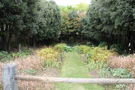 gilles clement paris 1993 les jardins seriels le jardin vert parc andre citroen paris photo f arnal octobre 2011 picturesque landscape art landscape