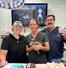 LSU School of Veterinary Medicine