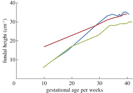 estimation of gestational age from fundal height a solution