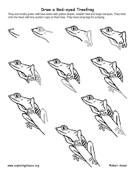 Draw An Amazon Rainforest Exploring Nature Educational Resource Frog Drawing Jungle Drawing Forest Drawing