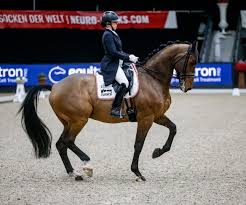Check spelling or type a new query. Oeps Veroffentlicht Osterreichischen Dressur Olympiakader 2021