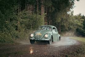Image result for Pastel Green 1949 Beetle