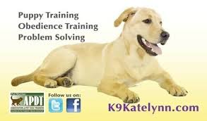 Phoenix In Home Dog Training Dog Training Dogs Professional Dog Training