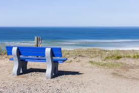 Our website uses cookies to improve your experience. Sylt Bank Meer Kostenloses Foto Auf Pixabay