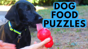 Jul 03, 2017 · diy dog puzzles and dog puzzle toys are perfect for keeping your dog busy all day! Benefits Of Food Puzzle Toys For Dogs Youtube