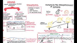 asthma pathophysiology