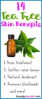 14 Terrific Tea Tree Oil Uses For Skin Beautymunsta Free Natural Beauty Hacks And More Tea Tree Oil For Acne Tea Tree Oil Skin Tea Tree Oil Uses