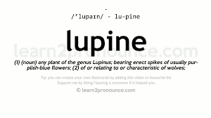 Sign in to disable all ads. Lupine Pronunciation And Definition Youtube