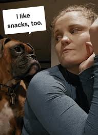 Weird dog addictions to seaweed snacks