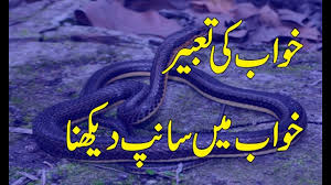 Black And White Snake Dream Meaning In Islam Khawab Ki Tabeer Khawab Mein Sanp Ko Dekhna Meaning Of Dreaming Of S Dream Meanings Meant To Be Kos