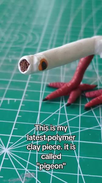 Plastic Clay Pigeon | TikTok