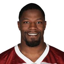 David Johnson Height, Weight, Age, College, Position, Bio
