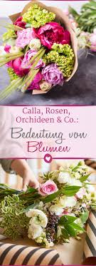 Blumen Und Ihre Bedeutung Calla Orchidee Lilie Co Orchidee Bedeutung Calla Bedeutung Von Blumen