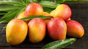 Pueden Los Perros Comer Mango Es Seguro O Toxico De Cachorros