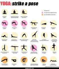 Basic Yoga Poses Chart Yogaposes8 Com