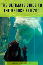The Ultimate Guide To Brookfield Zoo Chicago Il Brookfield Zoo Illinois Travel Travel Inspiration Destinations
