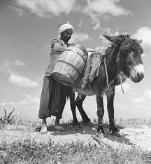 Folk tales form an important part the indian culture. The Multicolored Diary Every Hero Gets And Ogre Following Folktales Around The World 98 Algeria