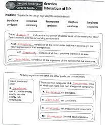 Ecology Review Worksheet Kids Activities