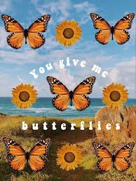 Although they qualify for federal help, monarch butterflies won't get endangered species protection. Vsco Aesthetic Wallpapers Blue Butterfly Novocom Top