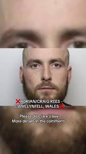 Asalto violento en Cardiff: Caso de Adrian Rees