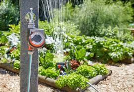 We did not find results for: Arrosage Automatique Tout Savoir Pour Faire Le Bon Choix Cote Maison