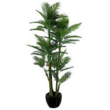 Fidan istanbul tohumdan fidana tum meyve sebze fidanlari evde ve dis mekanda yetistirilecek fideler ve fidanlar peyzaj bitkileri bahce tasarimi,toptan fidan ve fide. Toptan Dokmeyen Tropikal Bonsai Bitkiler Plastik Sahte Calatheas Bitkiler Ev Dekorasyon Yapay Ic Mekan Bitkileri Buy Yapay Kapali Bitkiler Tropikal Bonsai Bitki Sahte Calatheas Bitkiler Product On Alibaba Com