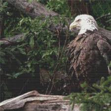 Account & lists account returns & orders. Majestic Bald Eagle Cross Stitch Pattern