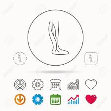 Phlebology Icon Leg Veins Sign Varicose Or Thrombosis Symbol