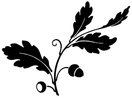 Fall is in full swing and in my opinion, nature is at its most beautiful during this time of year. 16 Oak Leaf Images With Acorns The Graphics Fairy