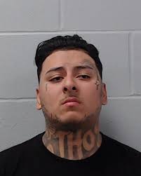Hernandez, Michael Rene was booked into the Hays County Jail