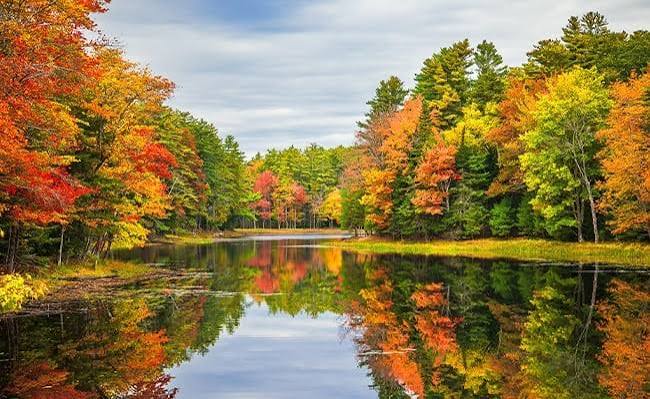 Fall Foliage Dates by State: When Leaves Peak
