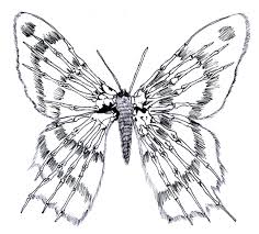 Fringe Butterfly Body Art Tattoos Butterfly Tattoo Side Tattoos