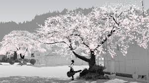 Anime cherry blossoms wallpaper hd images by walls auto. Anime Anime Girls Cherry Blossom Hd Wallpapers Desktop And Mobile Images Photos
