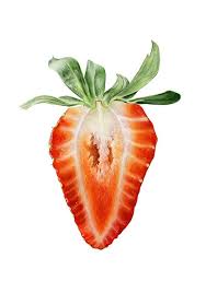 Laurenmaysk Fruit Art Drawings Fruits Drawing Strawberry Art