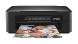 It is very little to take a look at. Epson Xp 235 Scanner Driver And Software Vuescan