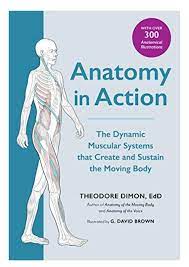 Home » medical books » download: Pdf Free Download Anatomy In Action The Dynamic Muscular Systems That