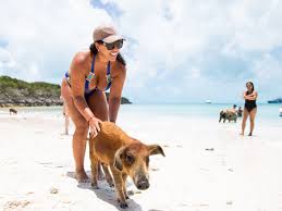 Exuma Escapes Bahamas