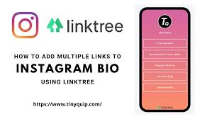 Instagram only lets you add one link in your bio. How To Add Multiple Links In The Instagram Bio Using Linktree Tiny Quip